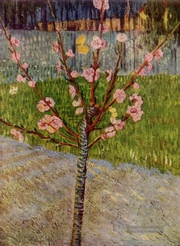  Gogh Galerie - Mandelbaum in Blüte Vincent van Gogh